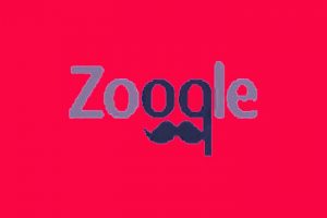 Zooqle