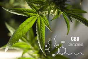 CBD-For-Sleepless-Nights