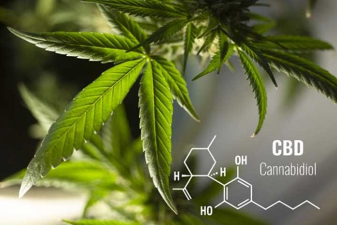 CBD-For-Sleepless-Nights