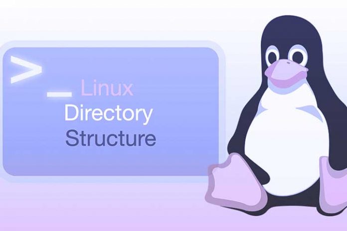 How-To-Create-A-Linux-Directory-Copy-Files-And-Directories