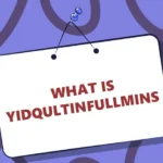 What Is Yidqultinfullmins
