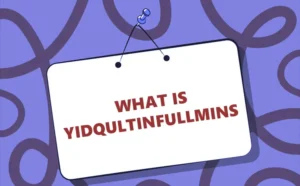 What Is Yidqultinfullmins